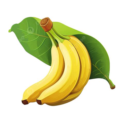 Archivo Png De Fruta De Plátano Tropical Png Dibujos Antecedentes