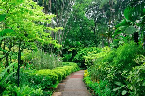 Guide To Australian Botanical Gardens Botanical Gardens Qld Needabreak