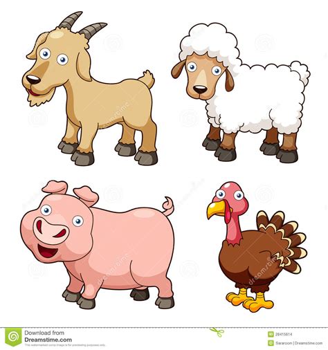 Farm Animals Cartoon Stock Vector Image Of Chick Goat