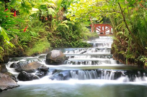 Arenal Volcano One Day Tour And Baldí Hot Springs Or Tabacón Hot Springs