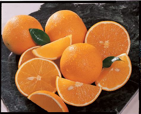 Valencia Oranges Valencia Orange Oranges Florida Citrus