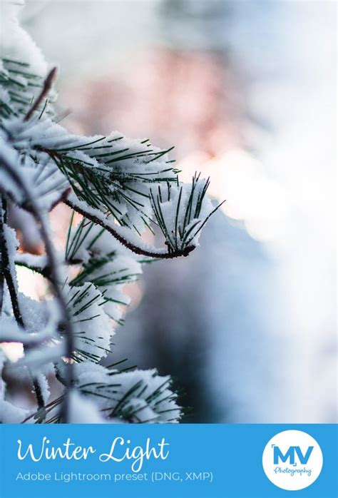 14 Adobe Lightroom Presets For Your Winter Photos
