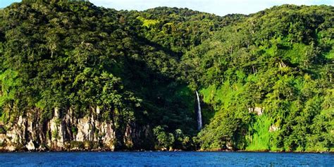 Cocos Island National Park Costa Rica