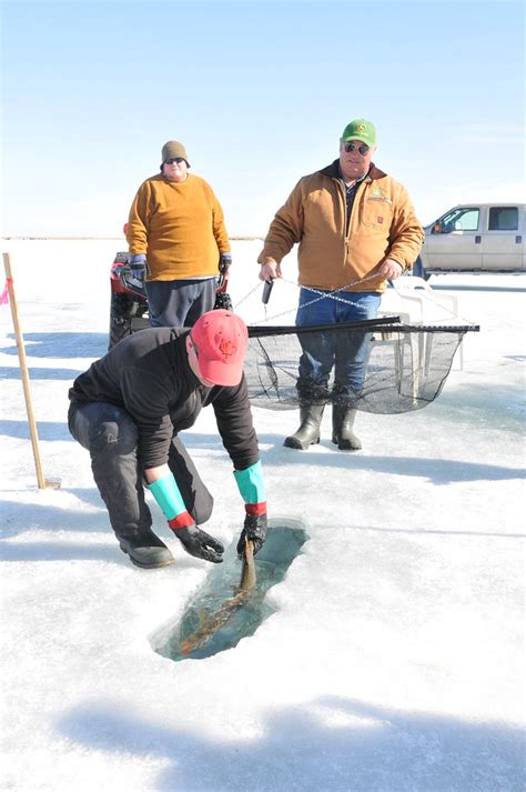 Editor art cullen received the 2017 pulitzer prize in editorial writing for a series of editorials on dark money in corporate agriculture in i. Lake Newell Ice Fishing, by Hugo Brees, Brooks In The News ...