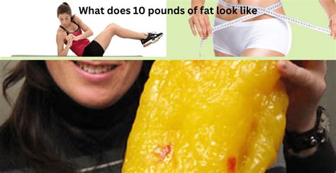 What Does 10 Pounds Of Fat Look Like Exploring The Visuals By