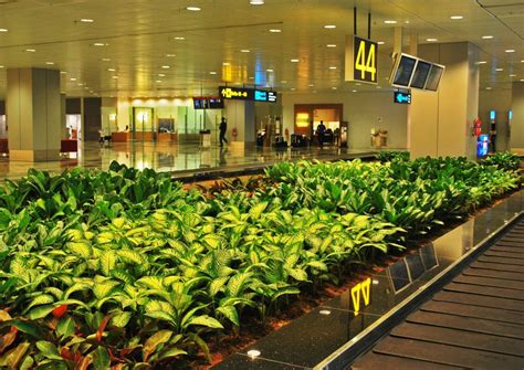 Changi Airport Terminal 3 Internal Landscape Lepl