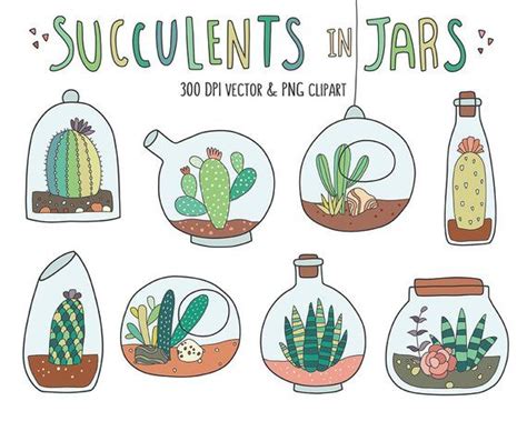 Succulent Clipart Succulents In Jars Clip Art Set Build Your Own
