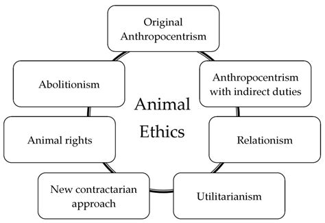 Sustainability | Free Full-Text | Animal Ethics and Eating Animals