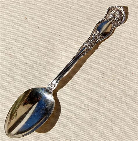 Vintage Wm Rogers And Son Orange Blossom Serving Spoon From