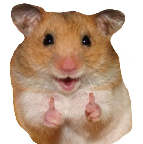 Freetoeditlikerhamster Hamster Like Nine Meme Remixit Meme