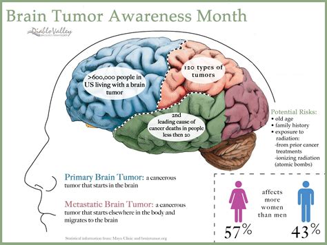 Diablo Valley Oncology And Hematology Group East Bay Brain Tumor