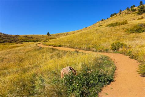 The Best Things To Do In Fort Collins Colorado