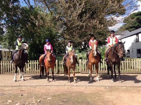 Bourne Vale Stables Horse Riding