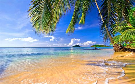 Hd Wallpaper Coconut Trees Near Beach Palm Trees Beautiful Beach
