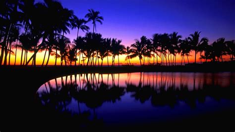 Tropical Wallpapers 69 Pictures