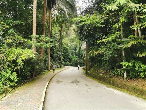 Borang pendaftaran senaman bagi pengunjung serta ketua kumpulan yang ingin membuat sebarang aktiviti senaman di taman botani pulau pinang anda boleh untuk kemukakan dahulu borang yang lengkap diisi serta dengan. Taman Botani Pulau Pinang - Penang Botanical Garden ...