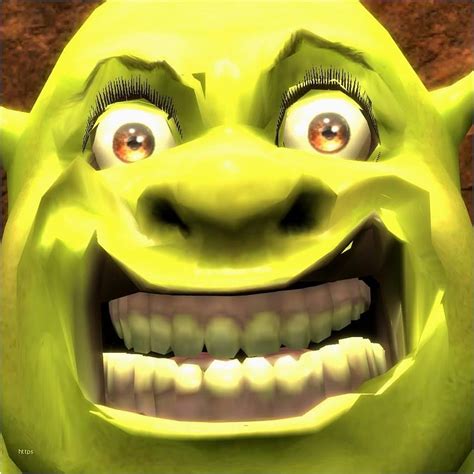 Shrek Pars R Us Shrek Memes Hd Wallpaper Pxfuel