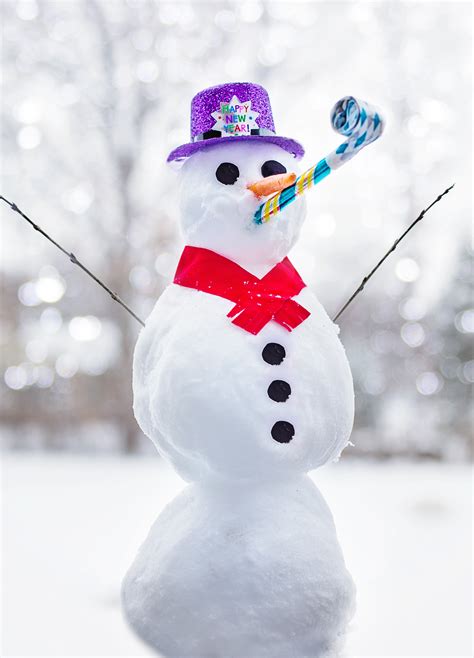 무료 이미지 감기 겨울 미술 장난 행복 눈사람 인사 새해 복 많이 받으세요 3744x5201 766372