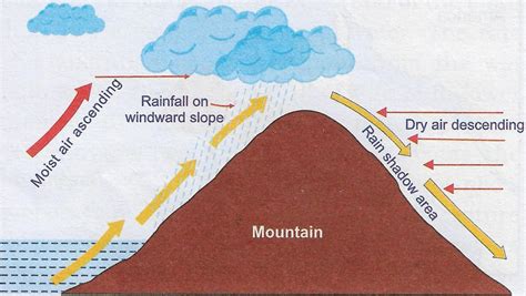 Draw A Well Labelled Diagram Showing Orographic Rainfall Knowledgeboat