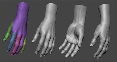 Zbrush Hand Detail Human Anatomy For Artists Hand Anatomy