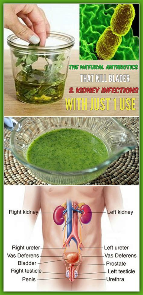 This Is The Best Natural Remedy That Helps Us Heal Utis Fast And
