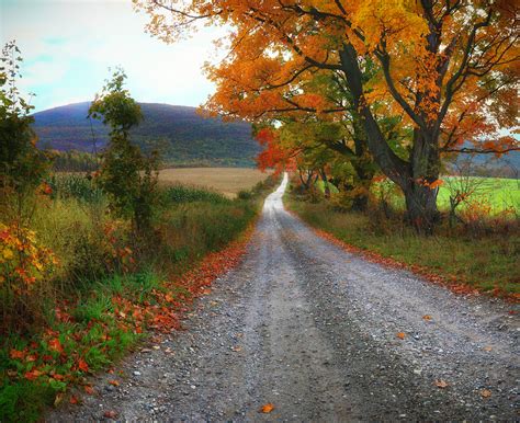 2017 Might Be The Best Year Ever For Fall Foliage In Vermont