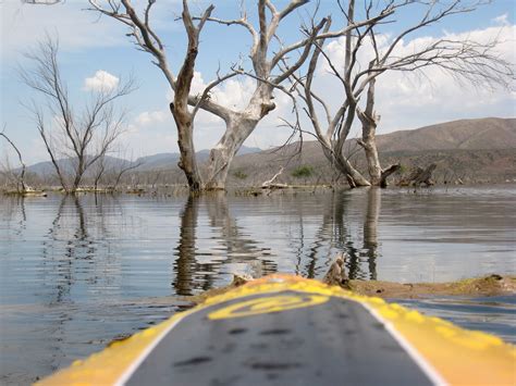 Free Images Tree Water Boat Lake River Reflection Vehicle Kayak Waterway Boating