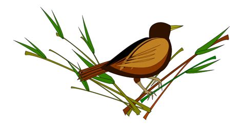 Sparrow Png Pic Png Svg Clip Art For Web Download Clip Art Png Icon