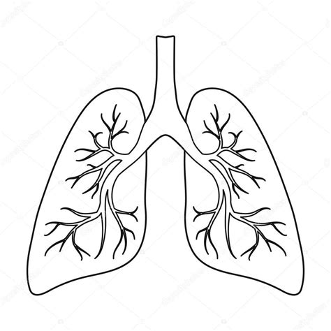 Human Lungs Outline Body Pages Coloring Colouring Printable Diagram
