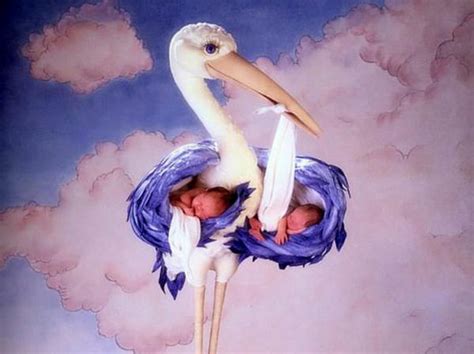 Shop for floral art prints from our community of independent artists and iconic brands. Anne Geddes Baby Photography - XciteFun.net