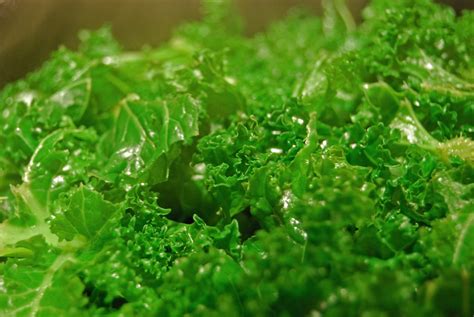 A List Of 10 Dark Green Leafy Vegetables List Of Foods