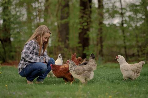 Raising Chickens With Kids • Run Wild My Child