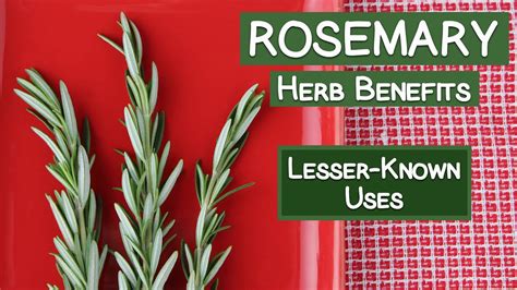 Rosemary Herb Benefits Less Commonly Known Folk Uses Youtube