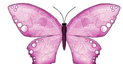 Penampilannya tampak cantik dengan ragam warna dan coraknya. 8 Gambar Animasi Kupu-kupu Bergerak - Gambar Animasi GIF ...