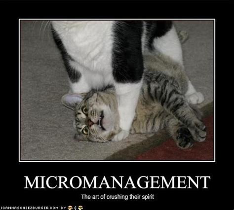 Micromanagement Snarky Hey Girl Cheezburger