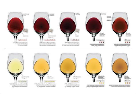 The Wine Colours