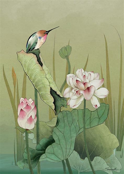 Lotus Flower And Hummingbird Digital Art By M Spadecaller Pixels