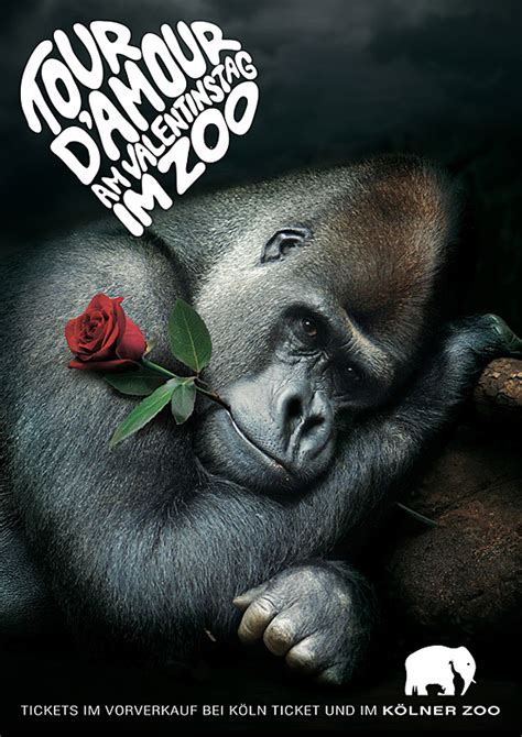 cuddly animals  creative advertising campaigns