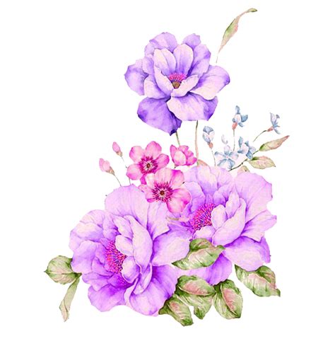 Download Plant Flower Watercolour Watercolor Flowers Painting Hq Png