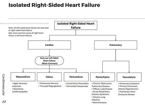 Right Sided Heart Failure Differential Diagnosis Grepmed