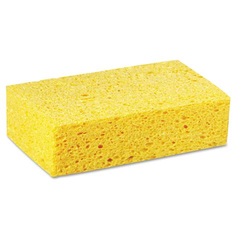 Boardwalk Large Cellulose Sponges Zogics