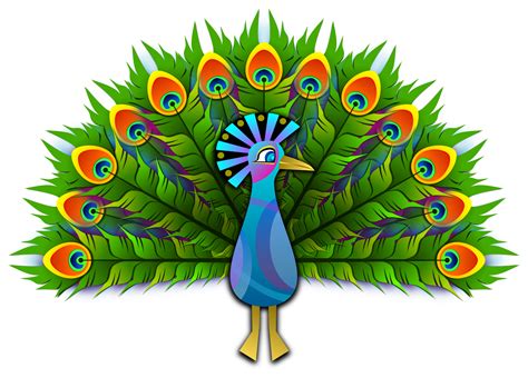 Clipart Peacock