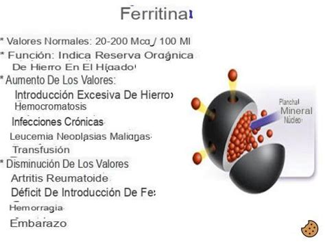 Diferencia Entre Hierro Y Ferritina