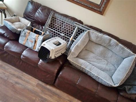 Pet Supplies for sale in Greenfield, Missouri | Facebook Marketplace