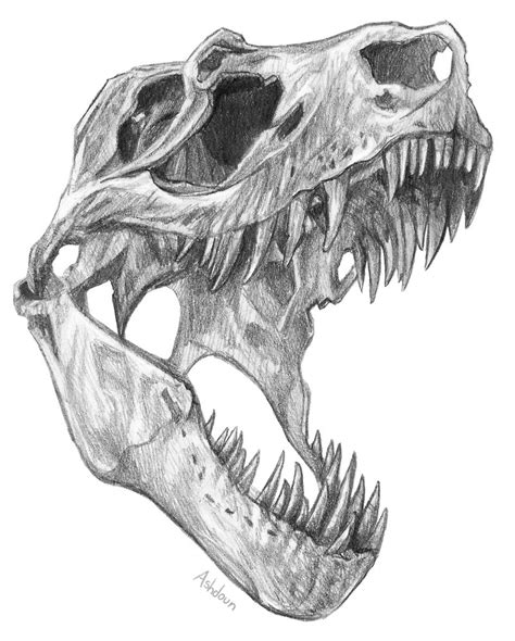 Pin By Dersu Gibran Barraza Islas On Art Skulls Drawing Skull Art