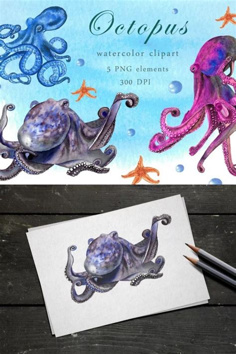 Watercolor Octopus Clipart 1374682 Illustrations Design Bundles