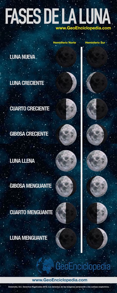 Infografía Fases De La Luna Información Y Características