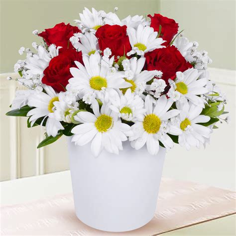 Send Flowers Turkey Red Roses In Garden Of Daisies From 12usd
