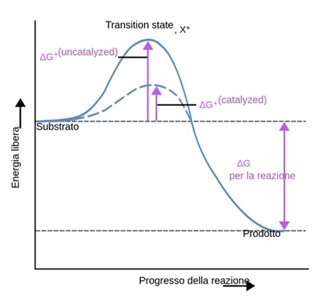 Enzimi Labster Theory