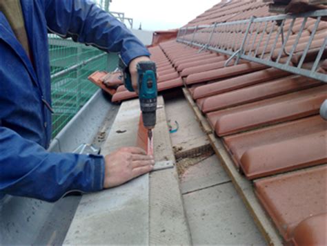 Zwischen parklandschaft, einkaufspromenade und zwischenahner meer haben wir für. Mitgedacht - Vertrieb: Dachreinigungssysteme & -baustoffe